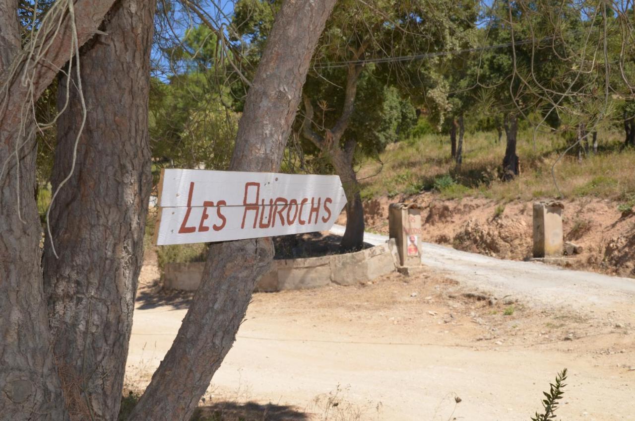 Bed and Breakfast Les Aurochs Grimaud Exterior foto